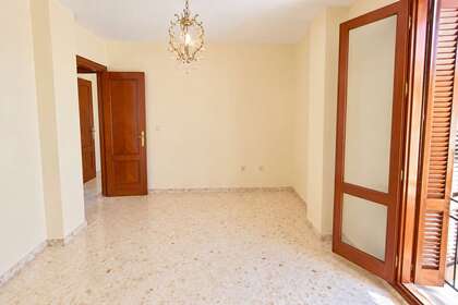 照片