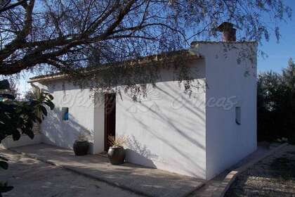 Country house for sale in Villena, Alicante. 