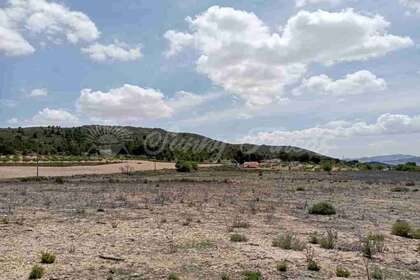 Landdistrikter / landbrugsjord til salg i Yecla, Murcia. 