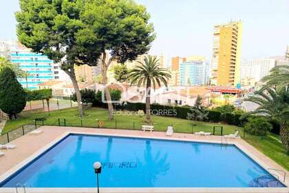 Apartamento venta en Benidorm, Alicante. 