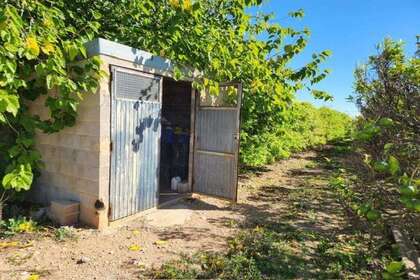 Rural/Agricultural land for sale in Santa Bàrbara, Tarragona. 