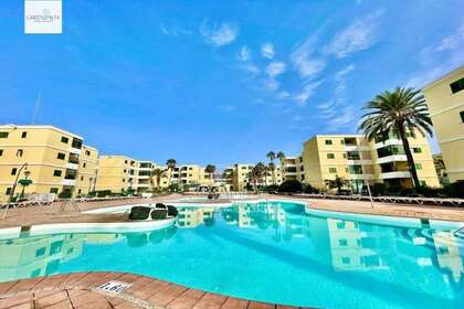 Apartamento venda em San Bartolomé de Tirajana, Las Palmas, Gran Canaria. 