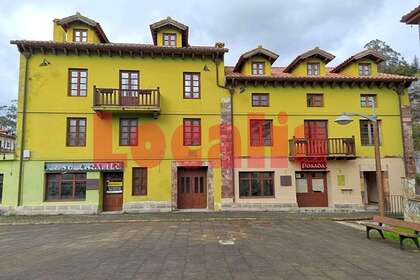 Premissa comercial venda em La Cavada, Cantabria. 