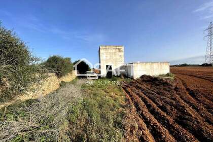 Rural/Agricultural land for sale in Ciudadela / Ciutadella de Menorca, Baleares (Illes Balears), Menorca. 