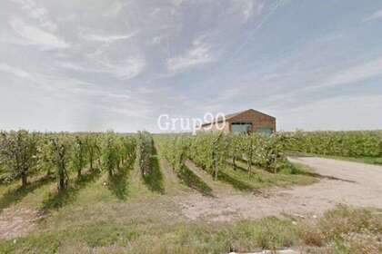 Rural/Agricultural land for sale in Alcoletge, Lérida (Lleida). 