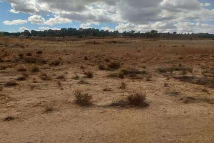 Enredo venda em Jumilla, Murcia. 