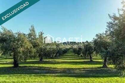 Venkovské / zemědělské půdy na prodej v Campo de Criptana, Ciudad Real. 