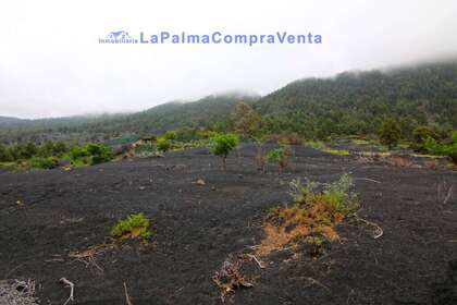 Rural/Agricultural land for sale in Santa Cruz de Tenerife, La Palma. 