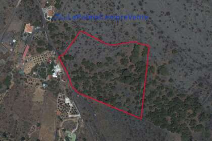 Rural/Agricultural land for sale in Paso, El, Santa Cruz de Tenerife, La Palma. 