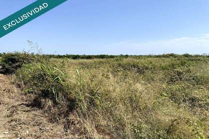 Terras Agrícolas / Rurais venda em Riola, Valencia. 