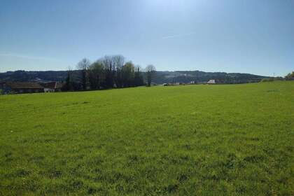 Terras Agrícolas / Rurais venda em Santiago de Compostela, La Coruña (A Coruña). 