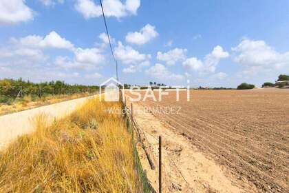 Terras Agrícolas / Rurais venda em Alcantarilla, Murcia. 