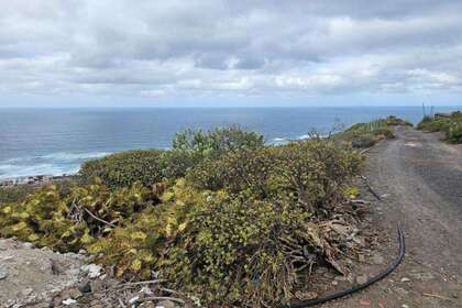Landdistrikter / landbrugsjord til salg i Arucas, Las Palmas, Gran Canaria. 