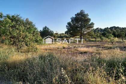 Landdistrikter / landbrugsjord til salg i Cehegín, Murcia. 