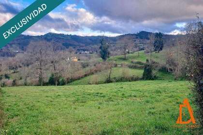 Beboelse jord til salg i Villaviciosa, Asturias. 