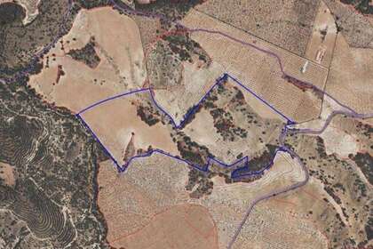 Landwirtschaftliche Fläche zu verkaufen in Lorca, Murcia. 