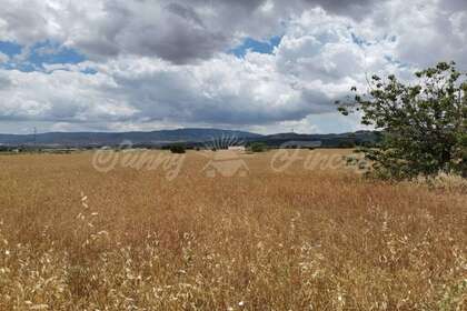 Landwirtschaftliche Fläche zu verkaufen in Yecla, Murcia. 