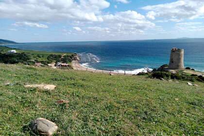 Terreno rústico/agrícola venta en Tarifa, Cádiz. 