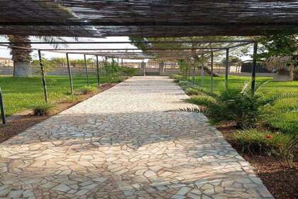 Venkovské / zemědělské půdy na prodej v Badajoz. 