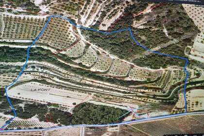 Сельский участок Продажа в Vilalba dels Arcs, Tarragona. 