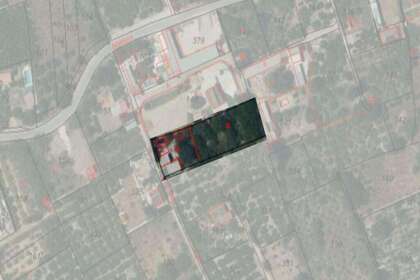 Venkovské / zemědělské půdy na prodej v Murla, Alicante. 