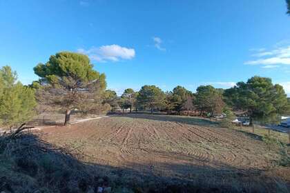 Terras Agrícolas / Rurais venda em Ubeda, Jaén. 