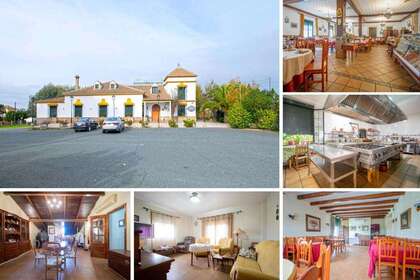 Коммерческое помещение Продажа в Castilblanco de los Arroyos, La Vía de la Plata, Sevilla. 