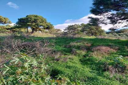 Plot for sale in Estepona, Málaga. 