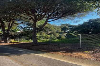 Bouwgrond voor woningen verkoop in Sotogrande, Cádiz. 