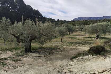 Terreno rústico/agrícola venta en Relleu, Alicante. 