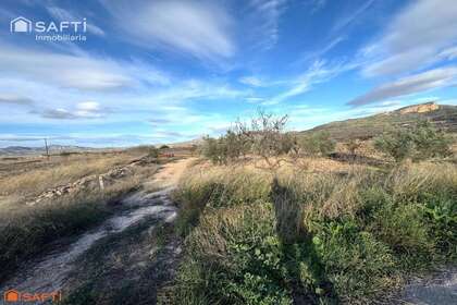 Rural/Agricultural land for sale in Monóvar/Monòver, Alicante. 