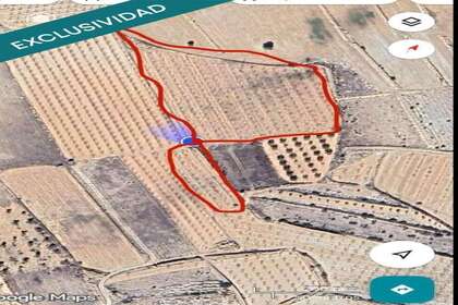 Rural/Agricultural land for sale in Monóvar/Monòver, Alicante. 