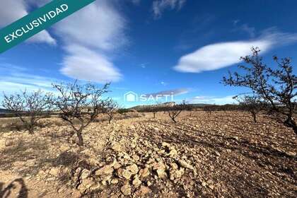 Rural/Agricultural land for sale in Monóvar/Monòver, Alicante. 