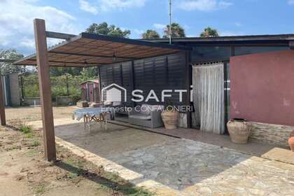 Landbouwgrond verkoop in Amposta, Tarragona. 