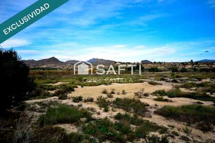 Rural/Agricultural land for sale in San Vicente del Raspeig/Sant Vicent del Raspeig, Alicante. 
