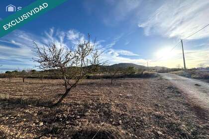 Rural/Agricultural land for sale in Monóvar/Monòver, Alicante. 