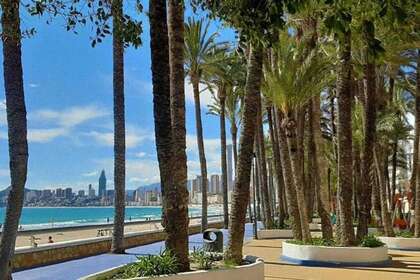 Handelspanden verkoop in Benidorm, Alicante. 