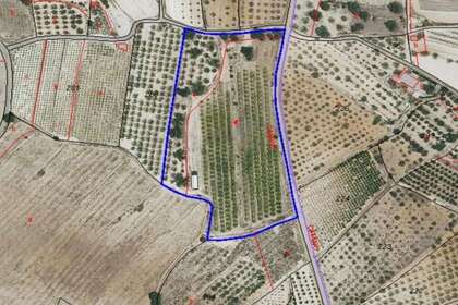 Residential land for sale in Aielo de Malferit, Valencia. 