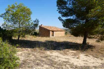 Rural/Agricultural land for sale in Cella, Teruel. 
