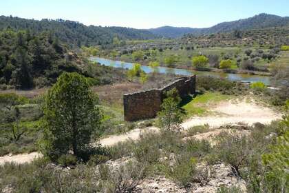 Terras Agrícolas / Rurais venda em Caseres, Tarragona. 
