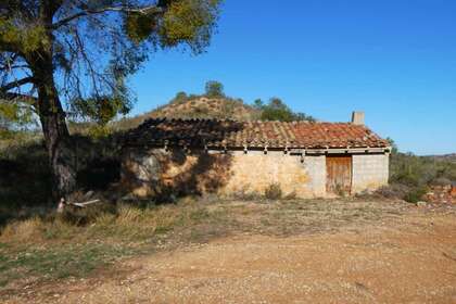Rural/Agricultural land for sale in Cella, Teruel. 