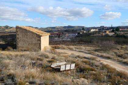 Rural/Agricultural land for sale in Cella, Teruel. 