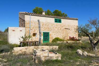 Rural/Agricultural land for sale in Cella, Teruel. 