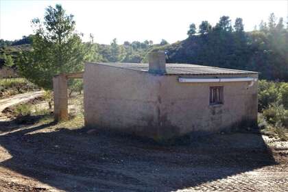Rural/Agricultural land for sale in Cella, Teruel. 