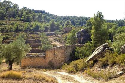 Rural/Agricultural land for sale in Cella, Teruel. 