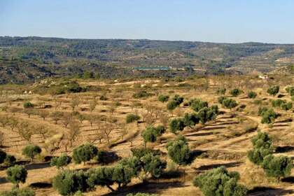 Сельский участок Продажа в Cella, Teruel. 