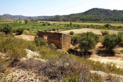 Rural/Agricultural land for sale in Batea, Tarragona. 