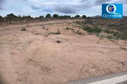 Rural/Agricultural land for sale in Alicante/Alacant. 