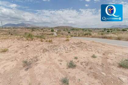 Terreno rústico/agrícola venta en San Vicente del Raspeig/Sant Vicent del Raspeig, Alicante. 