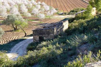 Terreno rústico/agrícola venta en Batea, Tarragona. 